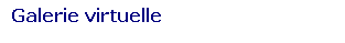 Zone de Texte: Galerie virtuelle